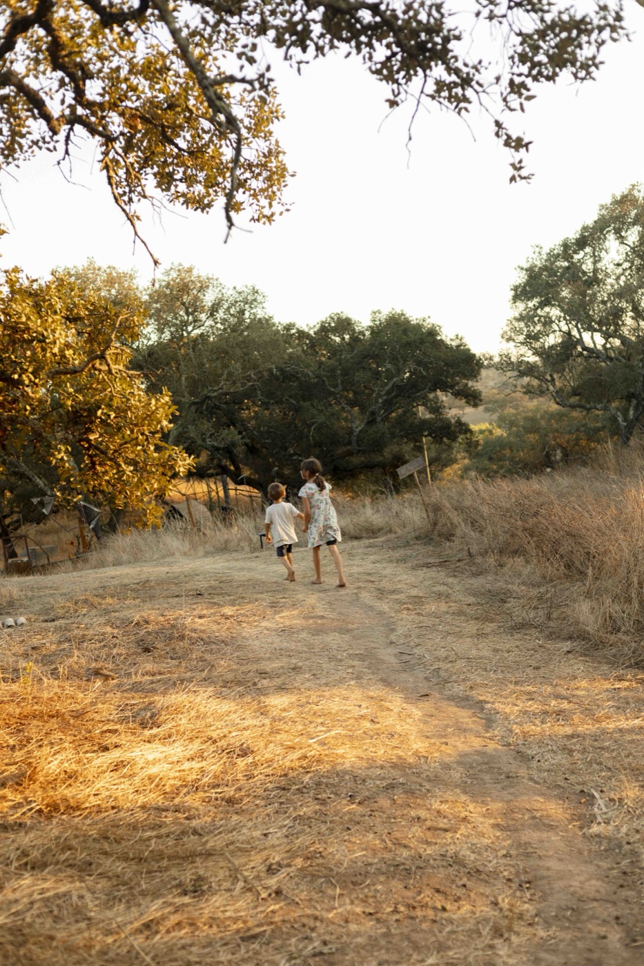 Children exploring the regenerative landscape — sustainable living for future generations